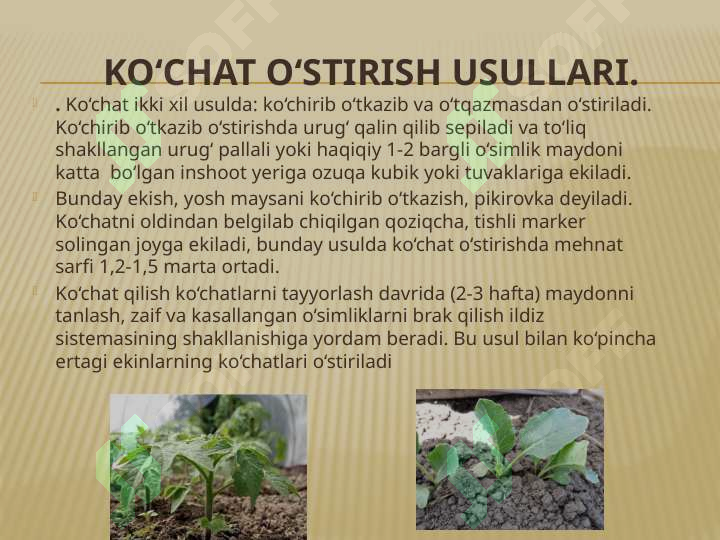 Product slide 6