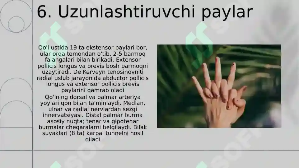 Product slide 8