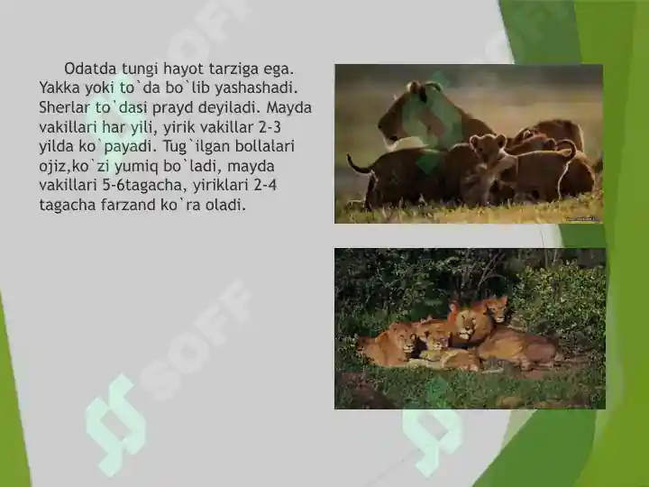 Product slide 6