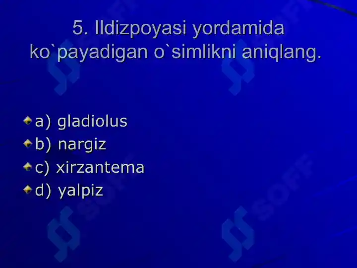 Product slide 6