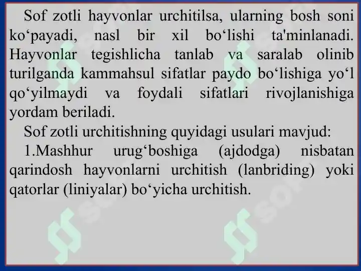 Product slide 6