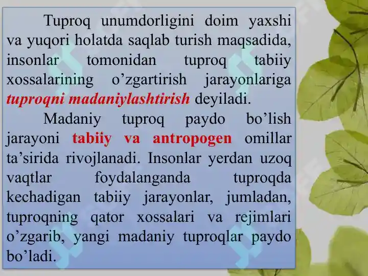 Product slide 7