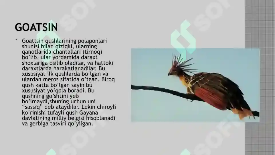 Product slide 6