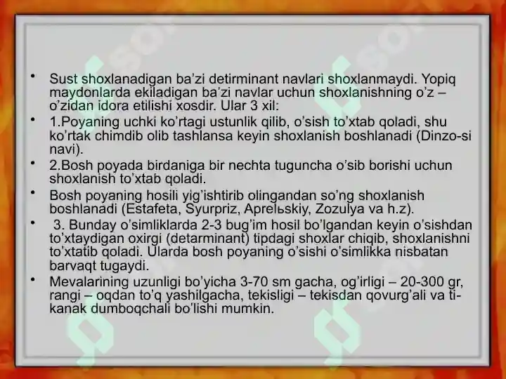 Product slide 6