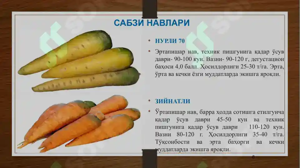 Product slide 6