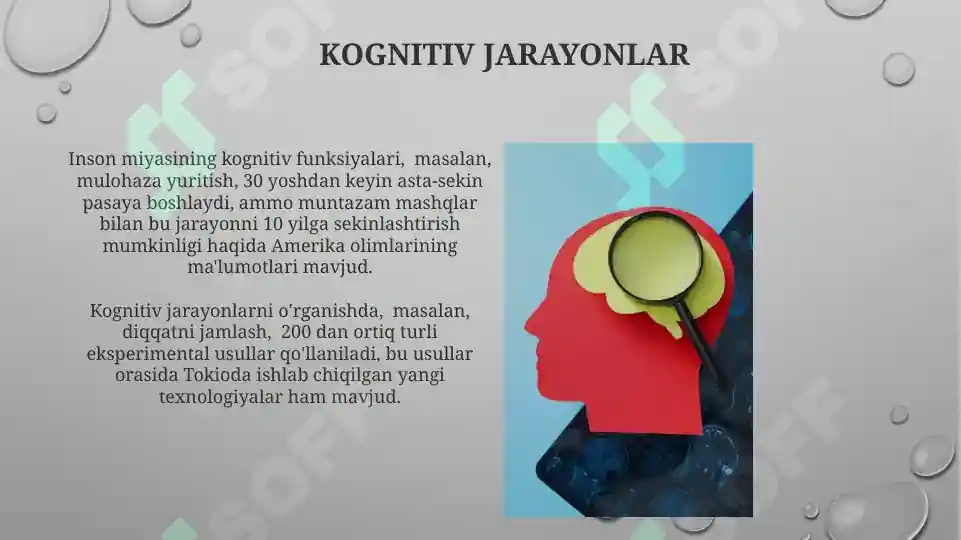 Product slide 7
