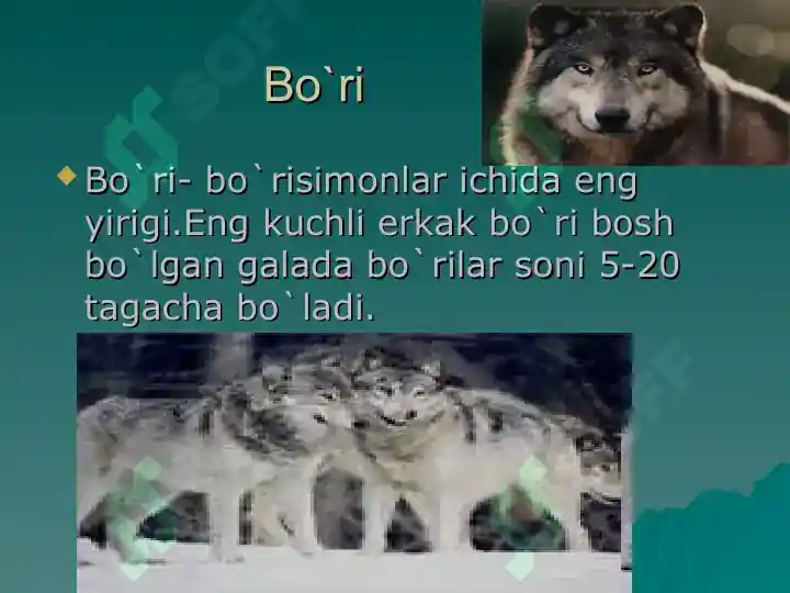 Product slide 5