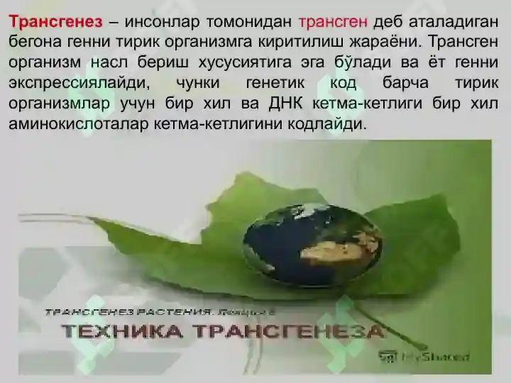 Product slide 7