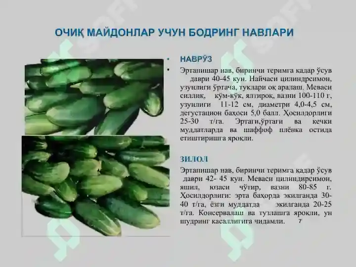 Product slide 7