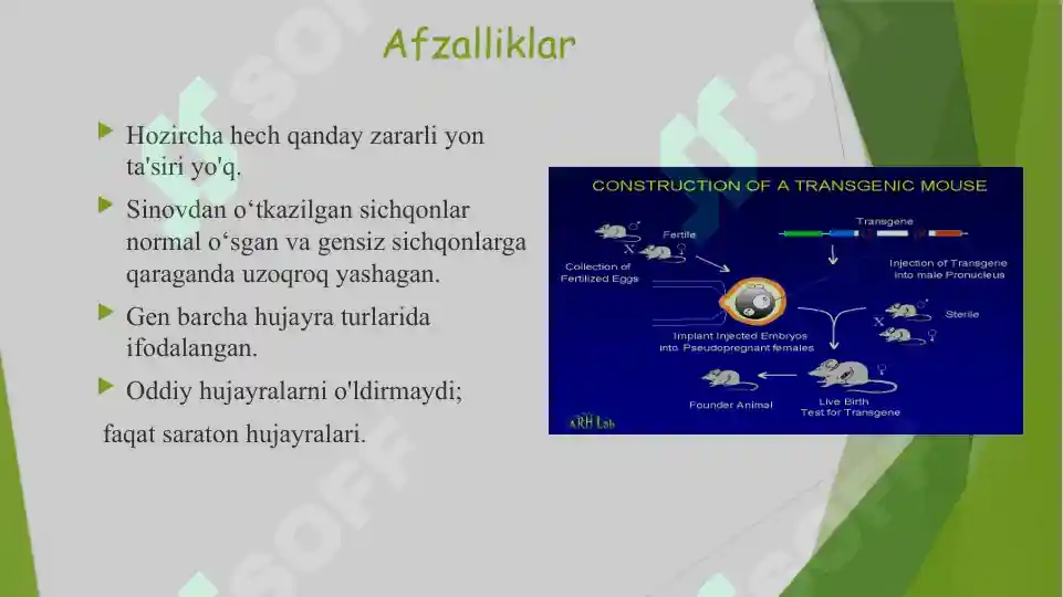 Product slide 5