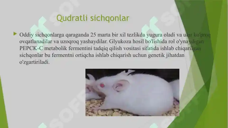 Product slide 6