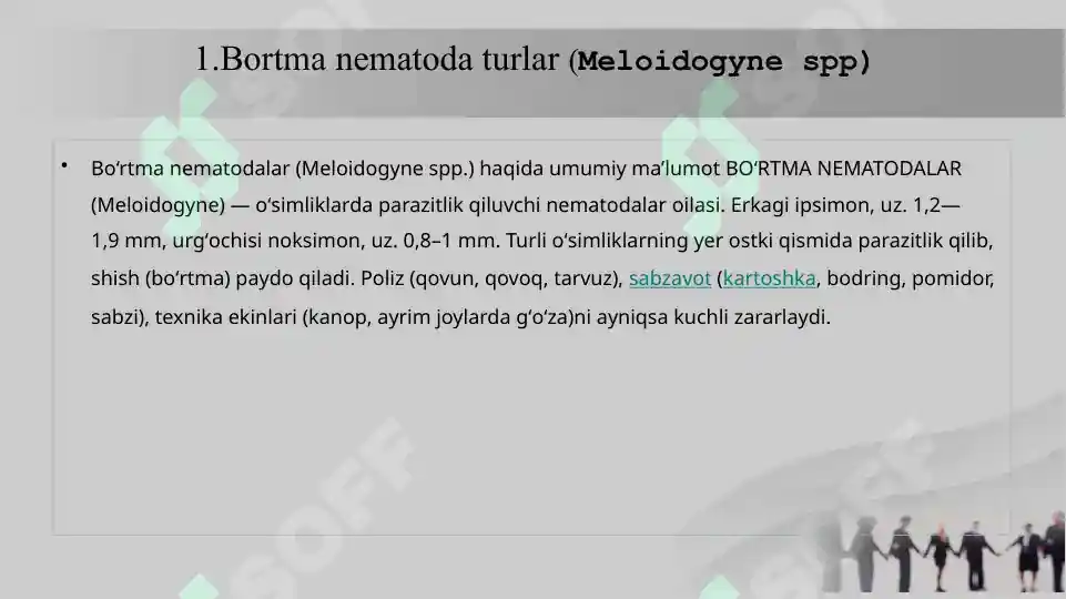 Product slide 7