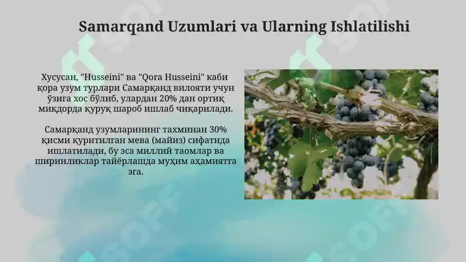 Product slide 5