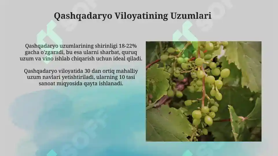 Product slide 8