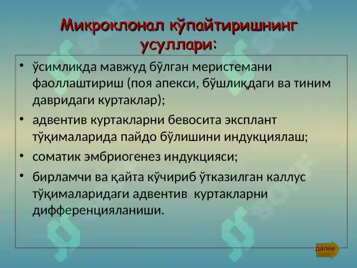 Product slide 7
