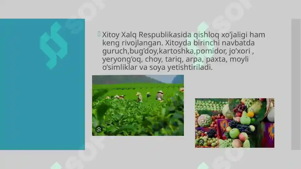 Product slide 5