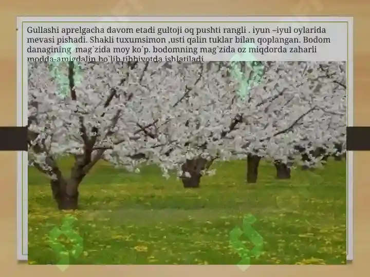 Product slide 7