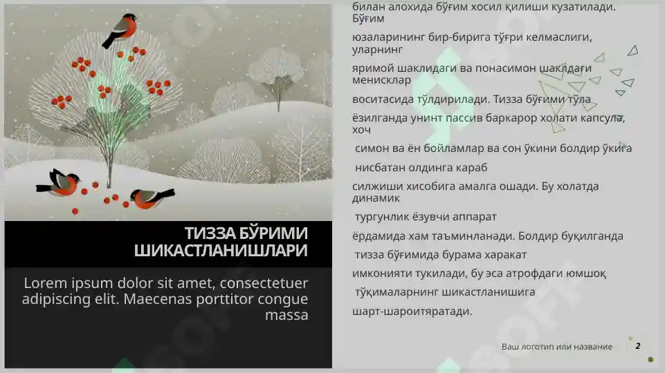 Product slide 2
