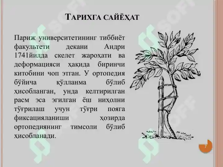 Product slide 7