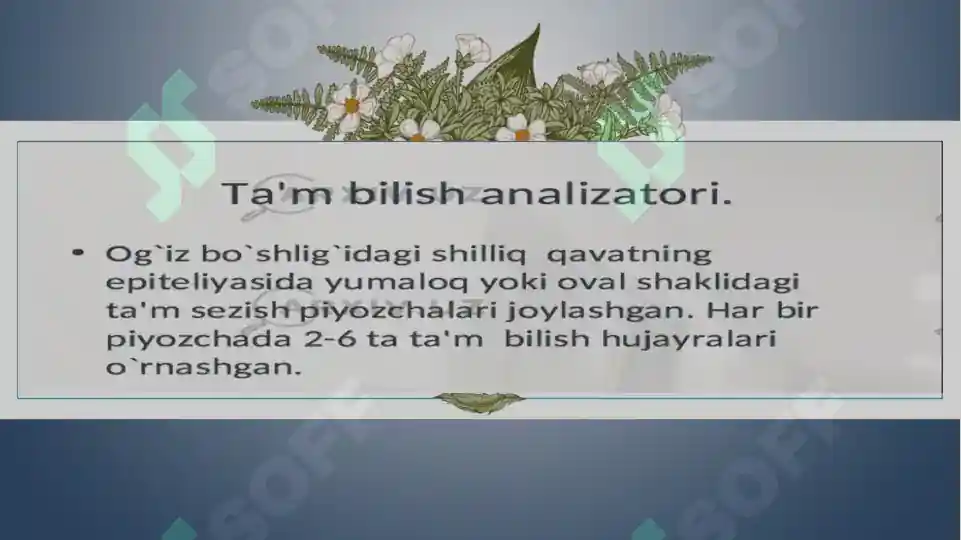 Product slide 6