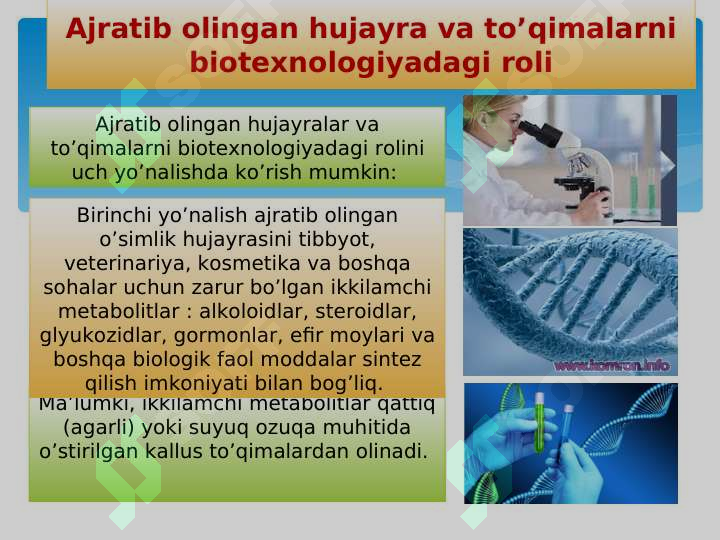Product slide 6