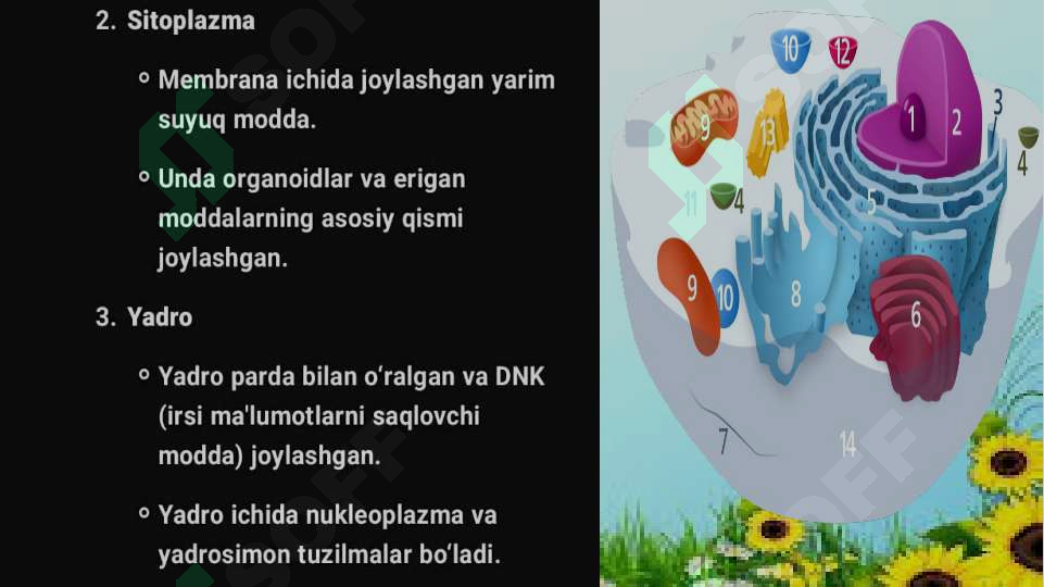 Product slide 8