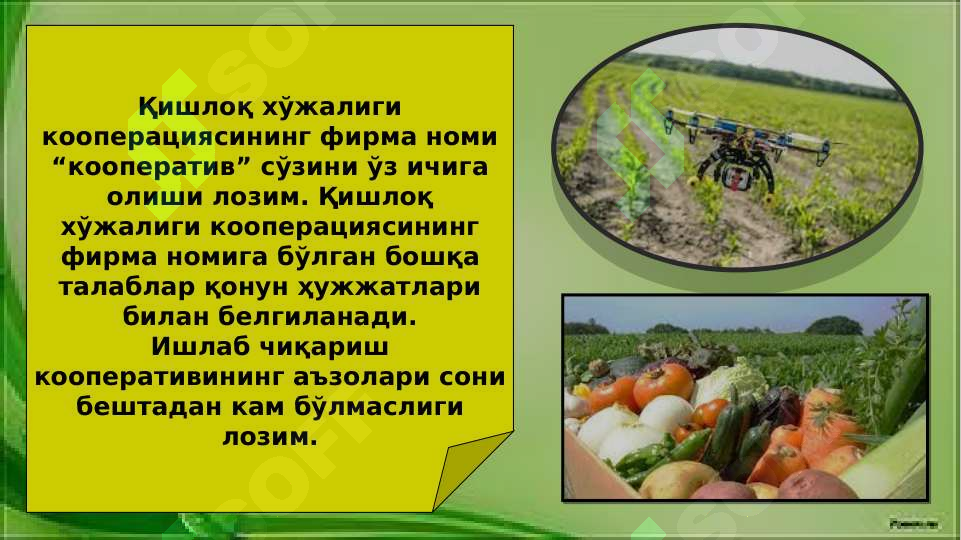 Product slide 6