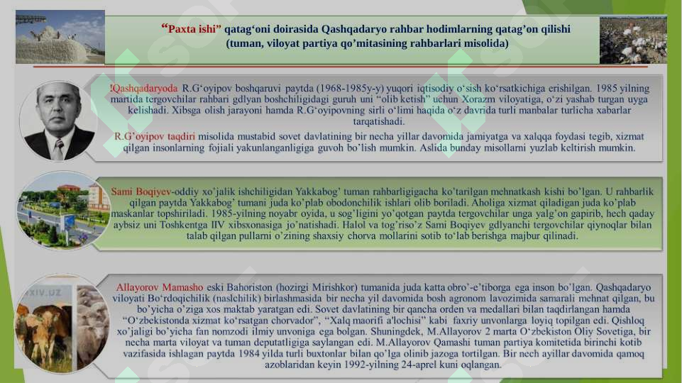 Product slide 8