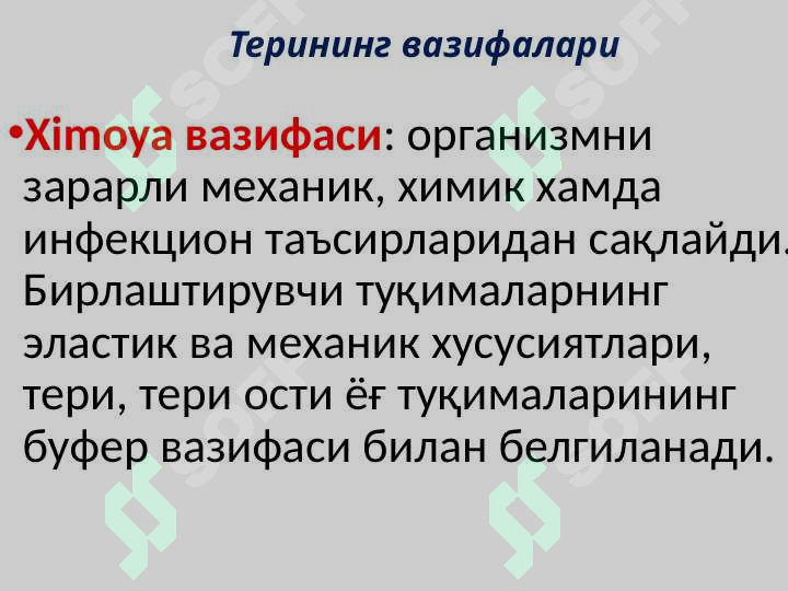 Product slide 6