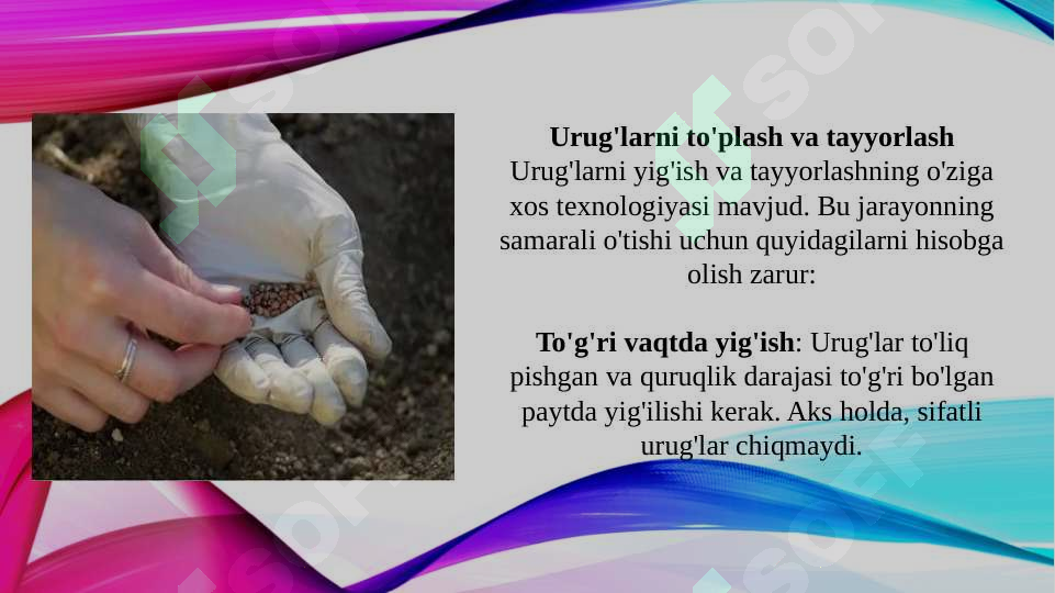 Product slide 6