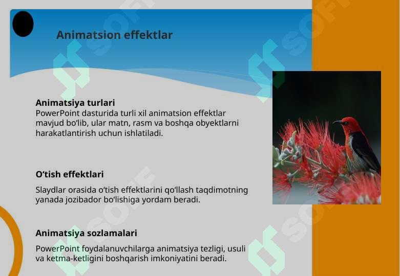 Product slide 8