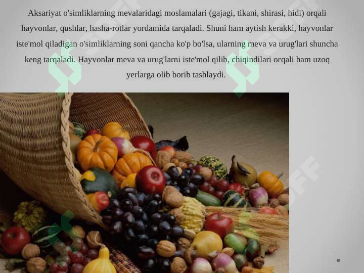 Product slide 7