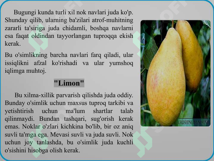 Product slide 7