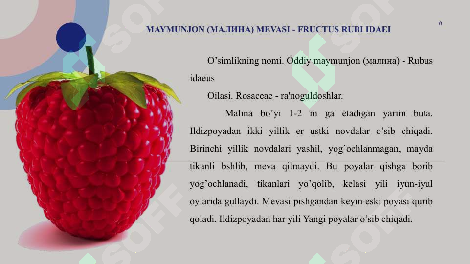 Product slide 8