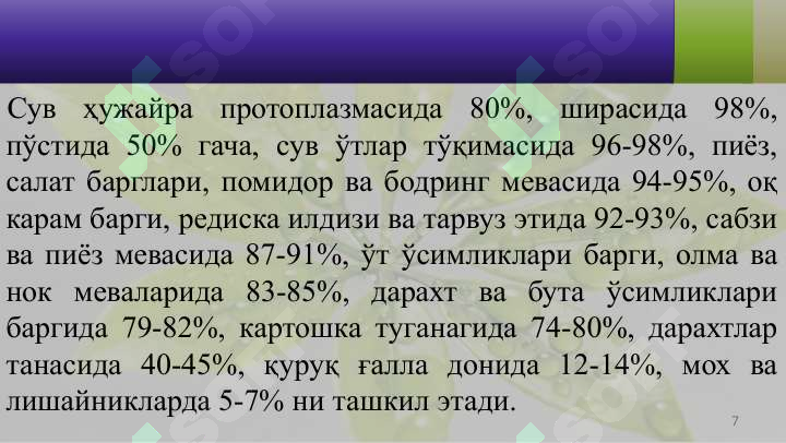 Product slide 7