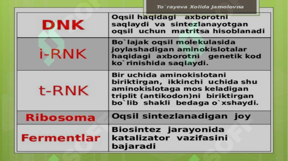 Product slide 5