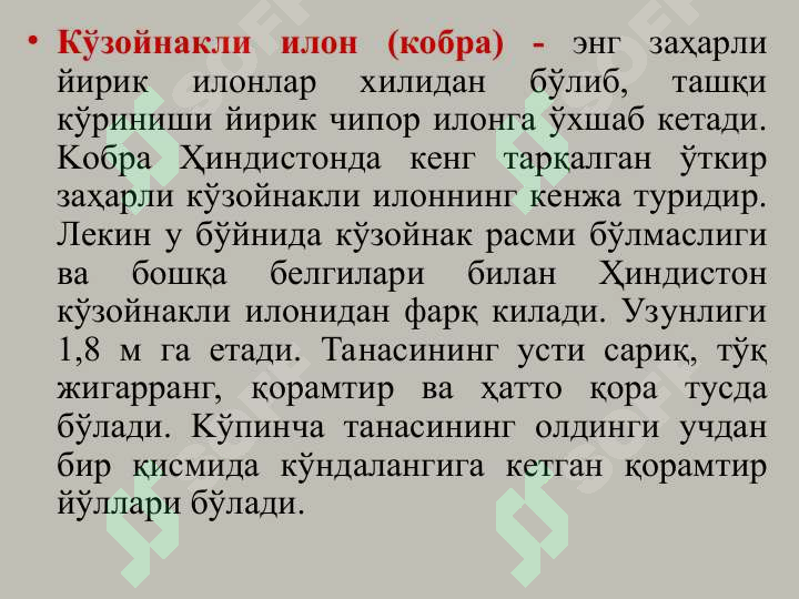 Product slide 7
