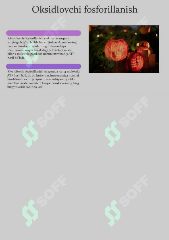 Product slide 6
