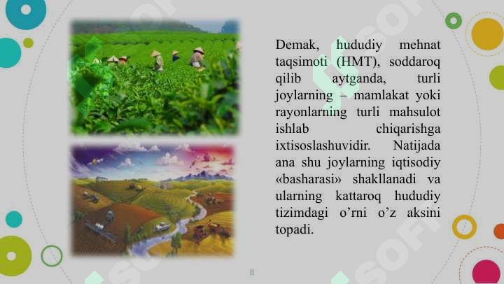 Product slide 8