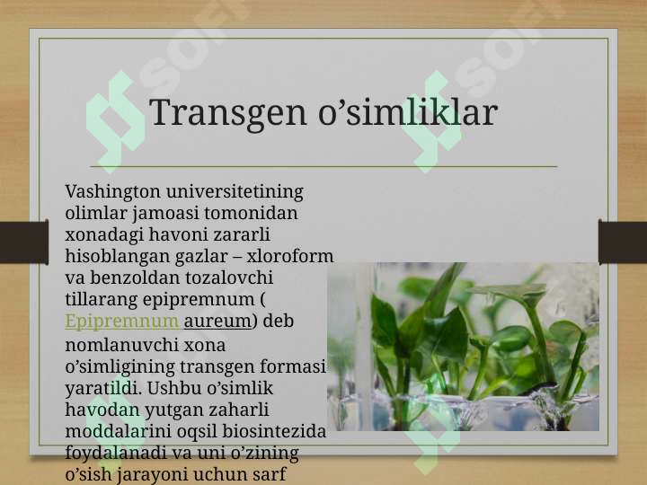 Product slide 6