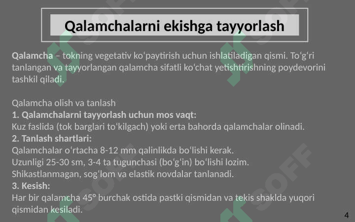 Product slide 4