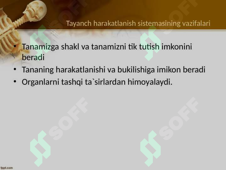 Product slide 6