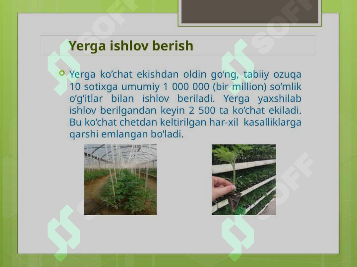 Product slide 8