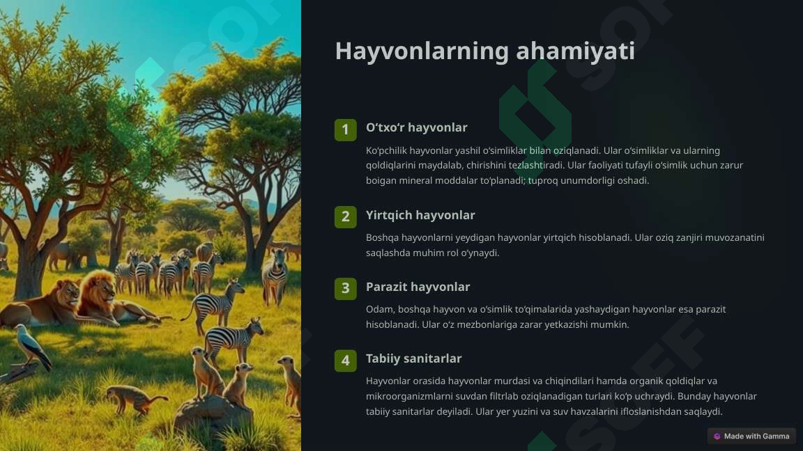 Product slide 2