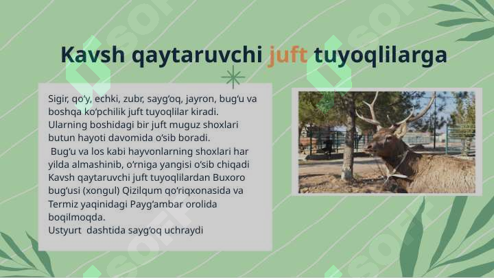 Product slide 8