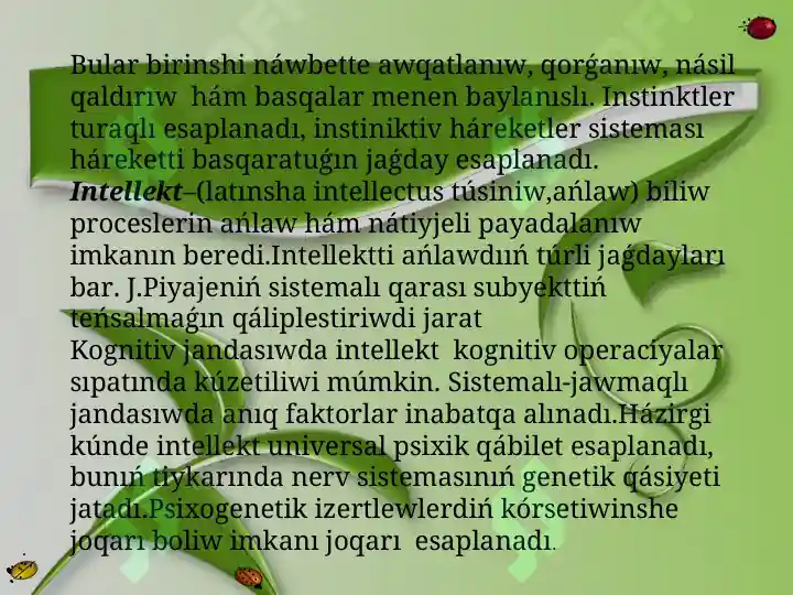 Product slide 5