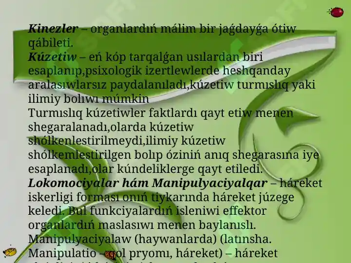 Product slide 6