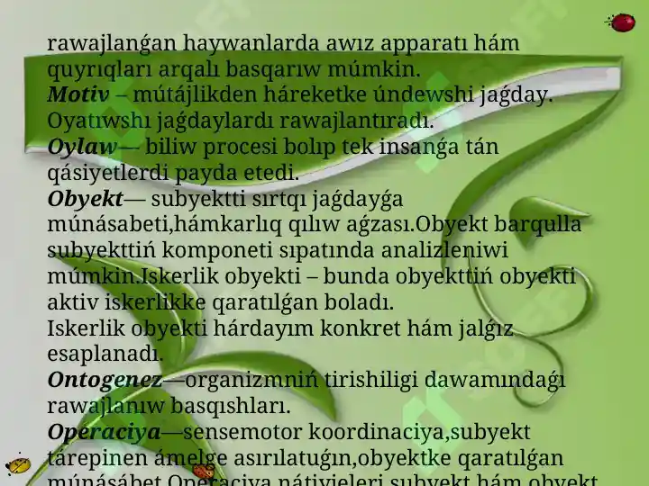 Product slide 7