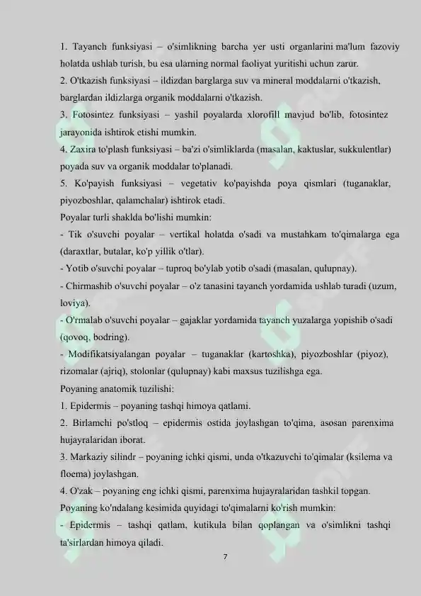 Product slide 7
