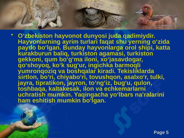 Product slide 5